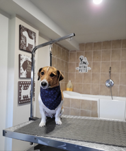 Small Size "SHORT HAIRED Not hair Trimming" 🐾 Bath, brush, dry & nails Grooming Appointment
